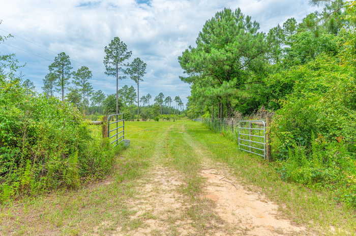 photo 2: 10 ACRES BUCK TYNER, Laurel Hill FL 32567