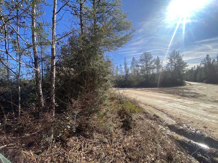 photo 19: 36+/- AC Yellow River Baptist Ch Road Unit BCD&E, Baker FL 32531