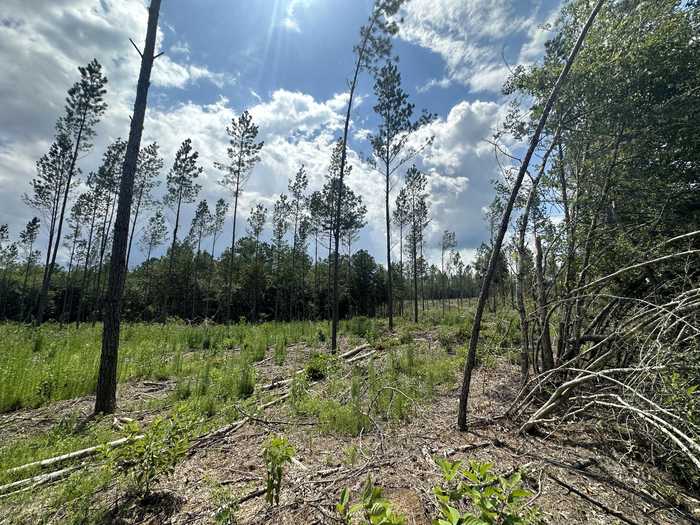 photo 2: 36+/- AC Yellow River Baptist Ch Road Unit BCD&E, Baker FL 32531