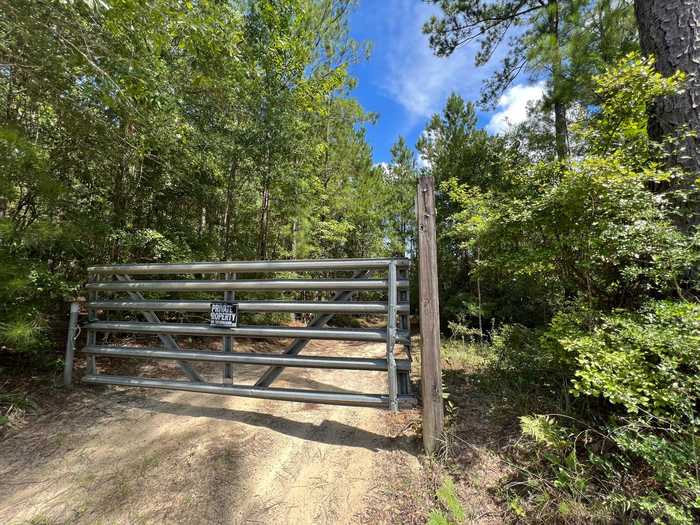 photo 1: 30 Ac Brake Road, Ponce De Leon FL 32455