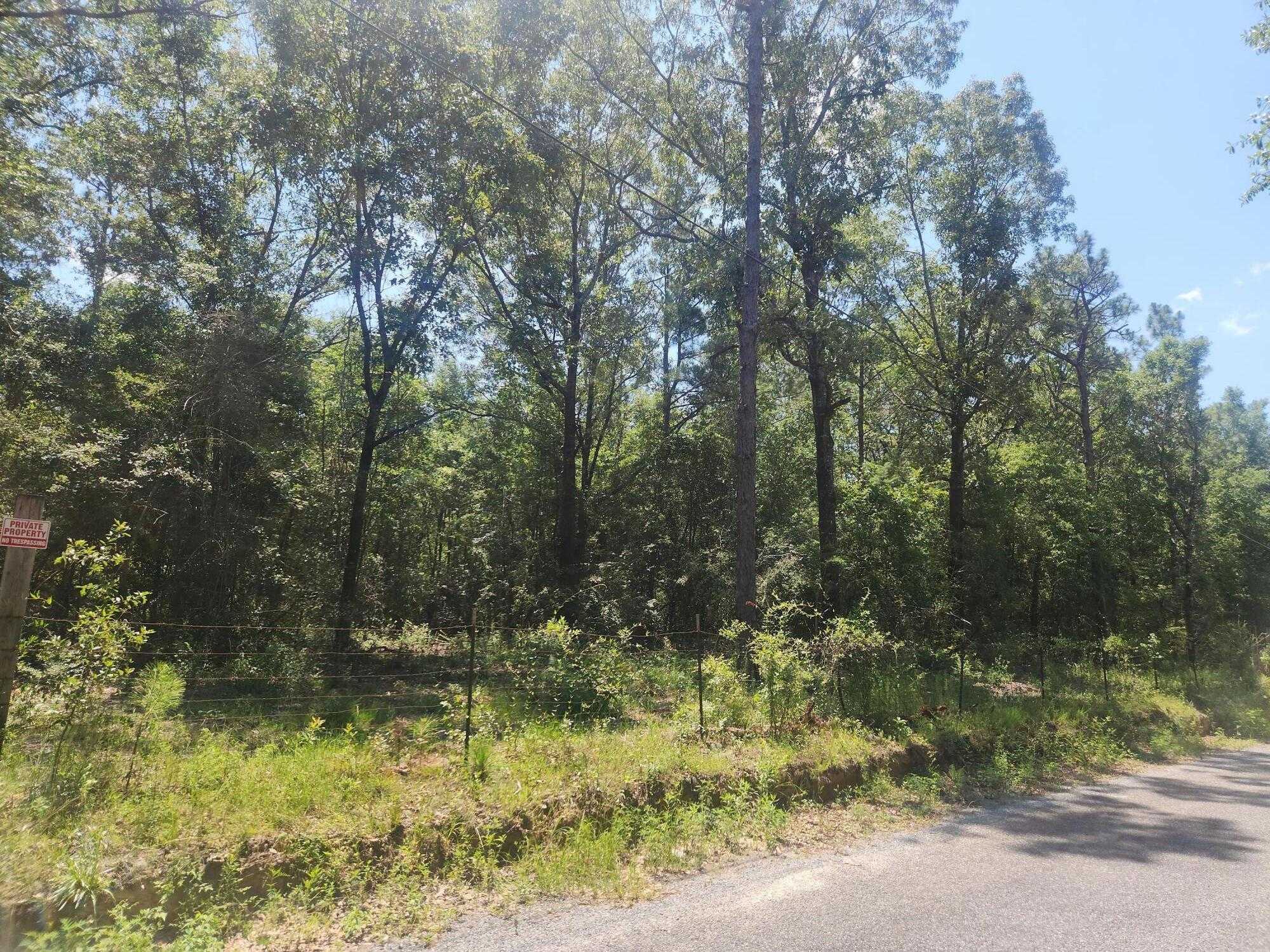 photo 2: 3.6 Acres Adams Rd Road, Crestview FL 32536