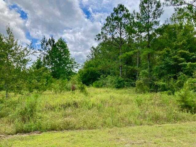 photo 1: 18ac Campbell Road, DeFuniak Springs FL 32435