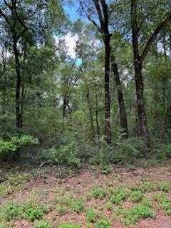 photo 1: 193 Seminole Terrace Terrace, DeFuniak Springs FL 32433