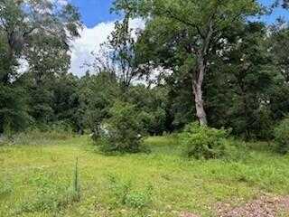 photo 3: 193 Seminole Terrace Terrace, DeFuniak Springs FL 32433