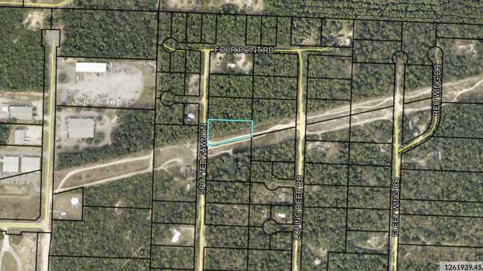 photo 1: 507A Spotted Fawn Lane, Holt FL 32564