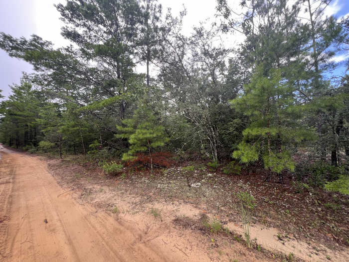 photo 1: Lot 1,2,13 Round Table Road, DeFuniak Springs FL 32433