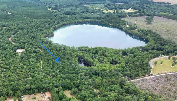 photo 1: 25 acres Blue Pond Lane, Ponce De Leon FL 32455