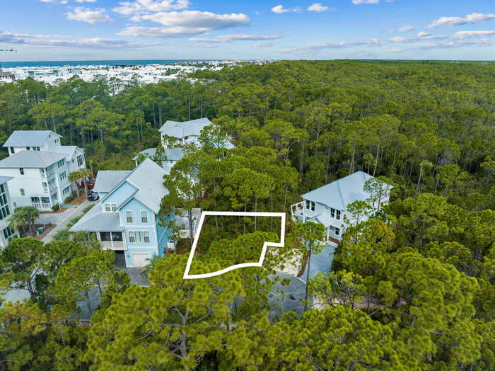 photo 2: Lot 42 Treetop, Inlet Beach FL 32461