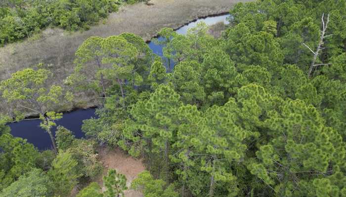 photo 2: Lot 6 W Shore Drive, Inlet Beach FL 32461