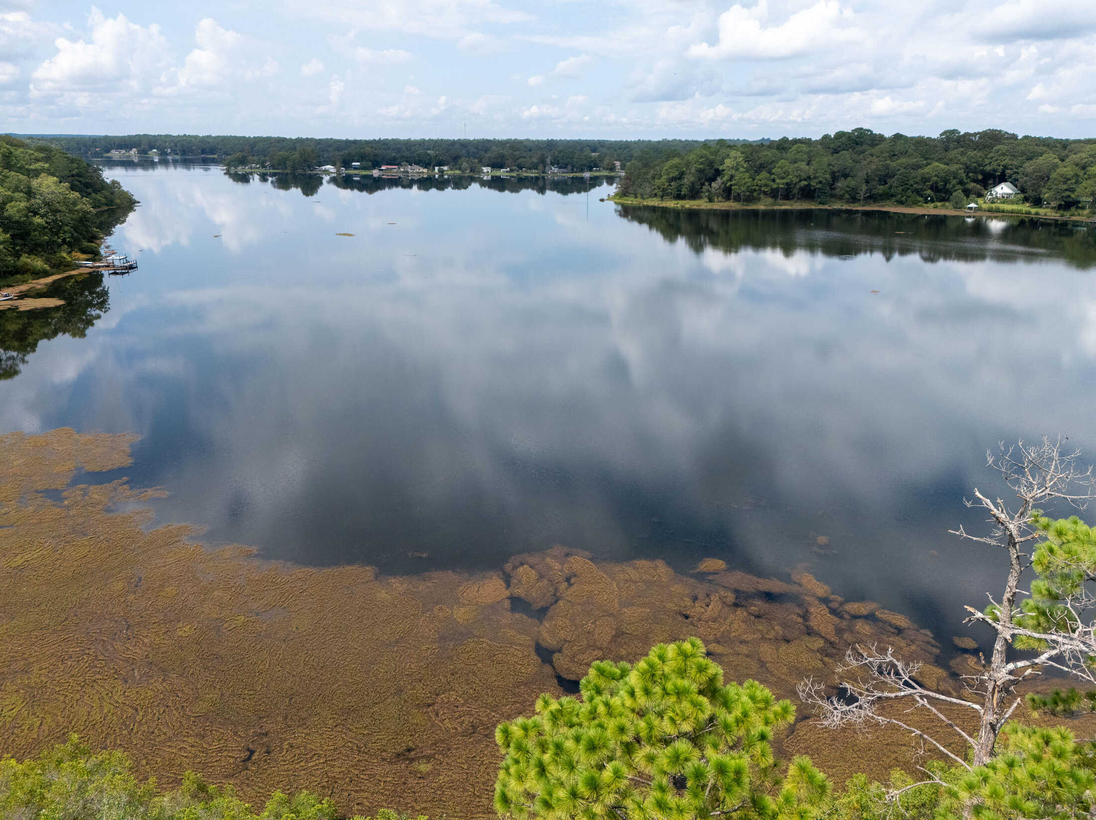 photo 2: 5 Acres Holley King Road, DeFuniak Springs FL 32433