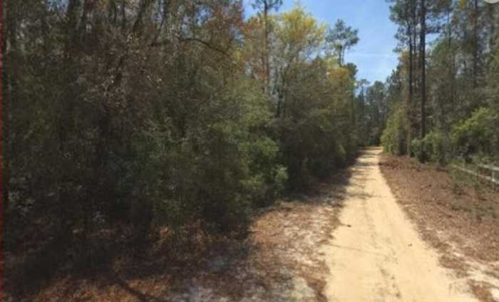 photo 1: Yellow River Log Lake Road, Holt FL 32564