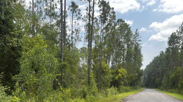 photo 4: 3 Acres Antioch Cemetery Rd, Ponce De Leon FL 32455