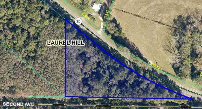 photo 1: TBD Highway 85, Laurel Hill FL 32567