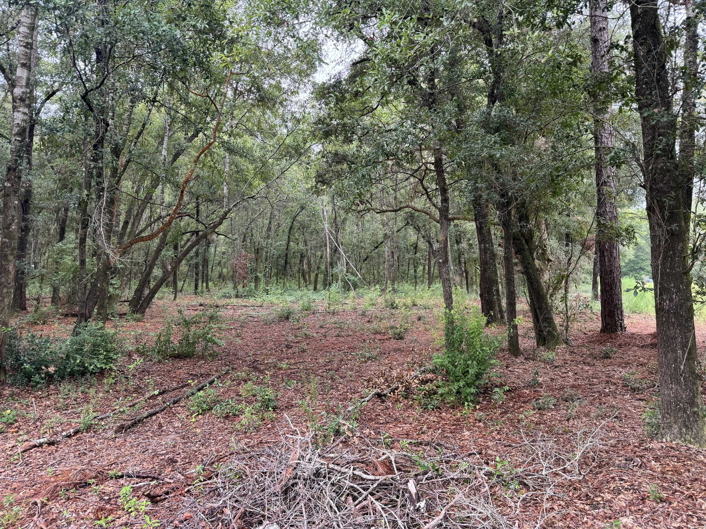 photo 1: .91 Acre Mcinnis Street, Bagdad FL 32530