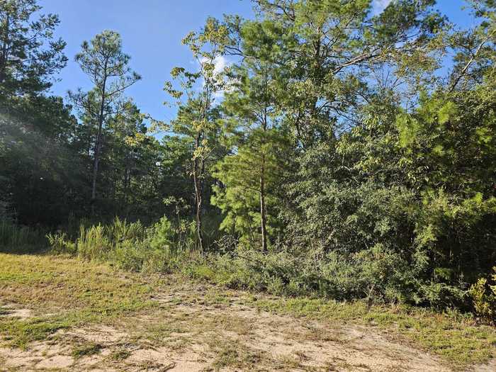 photo 1: Lot 2 & 3 W BLUEBOTTLE CT, DeFuniak Springs FL 32433