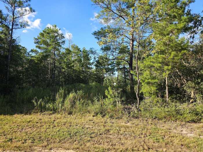 photo 2: Lot 2 & 3 W BLUEBOTTLE CT, DeFuniak Springs FL 32433