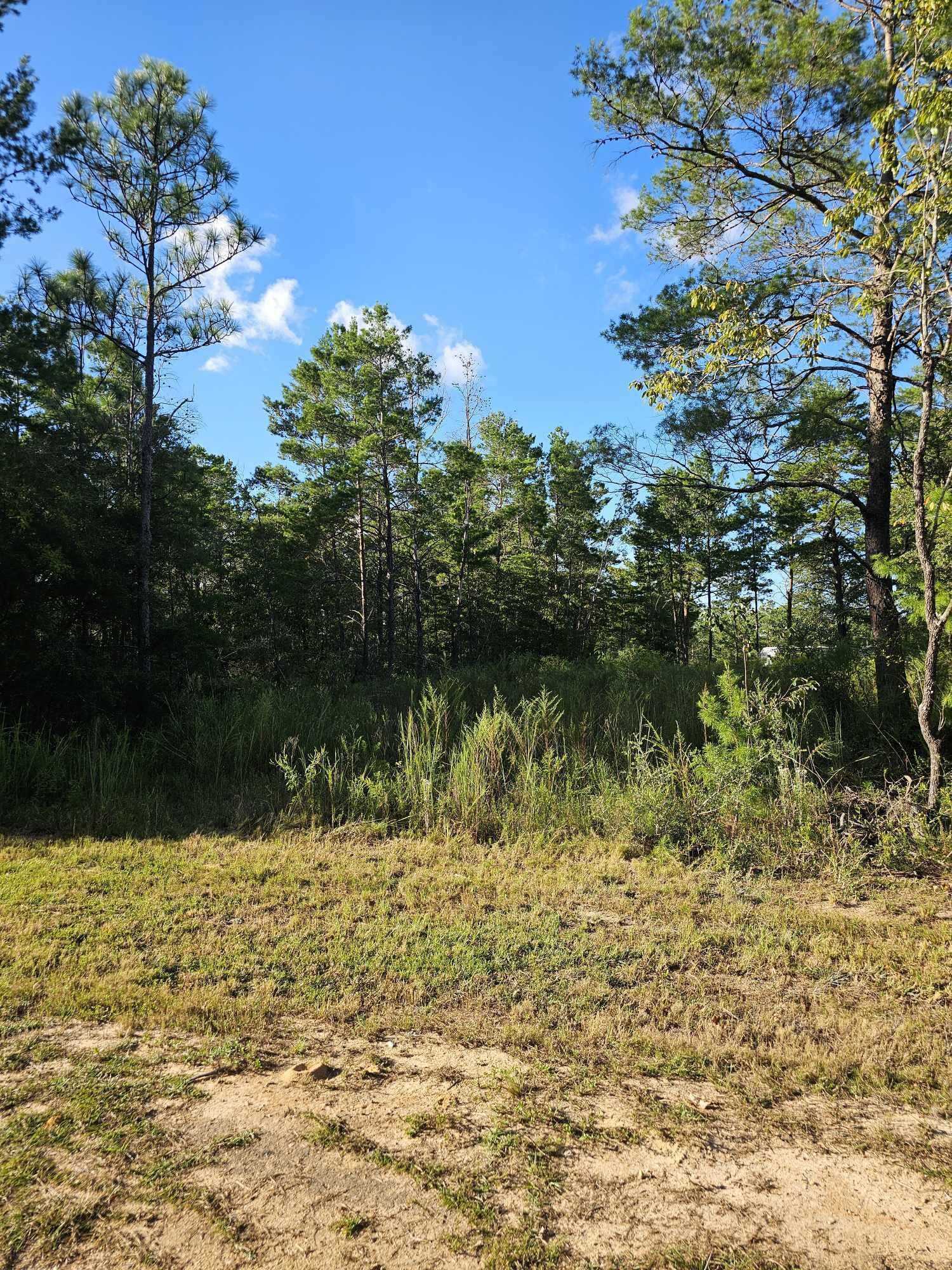 photo 3: Lot 2 W BLUEBOTTLE CT, DeFuniak Springs FL 32433