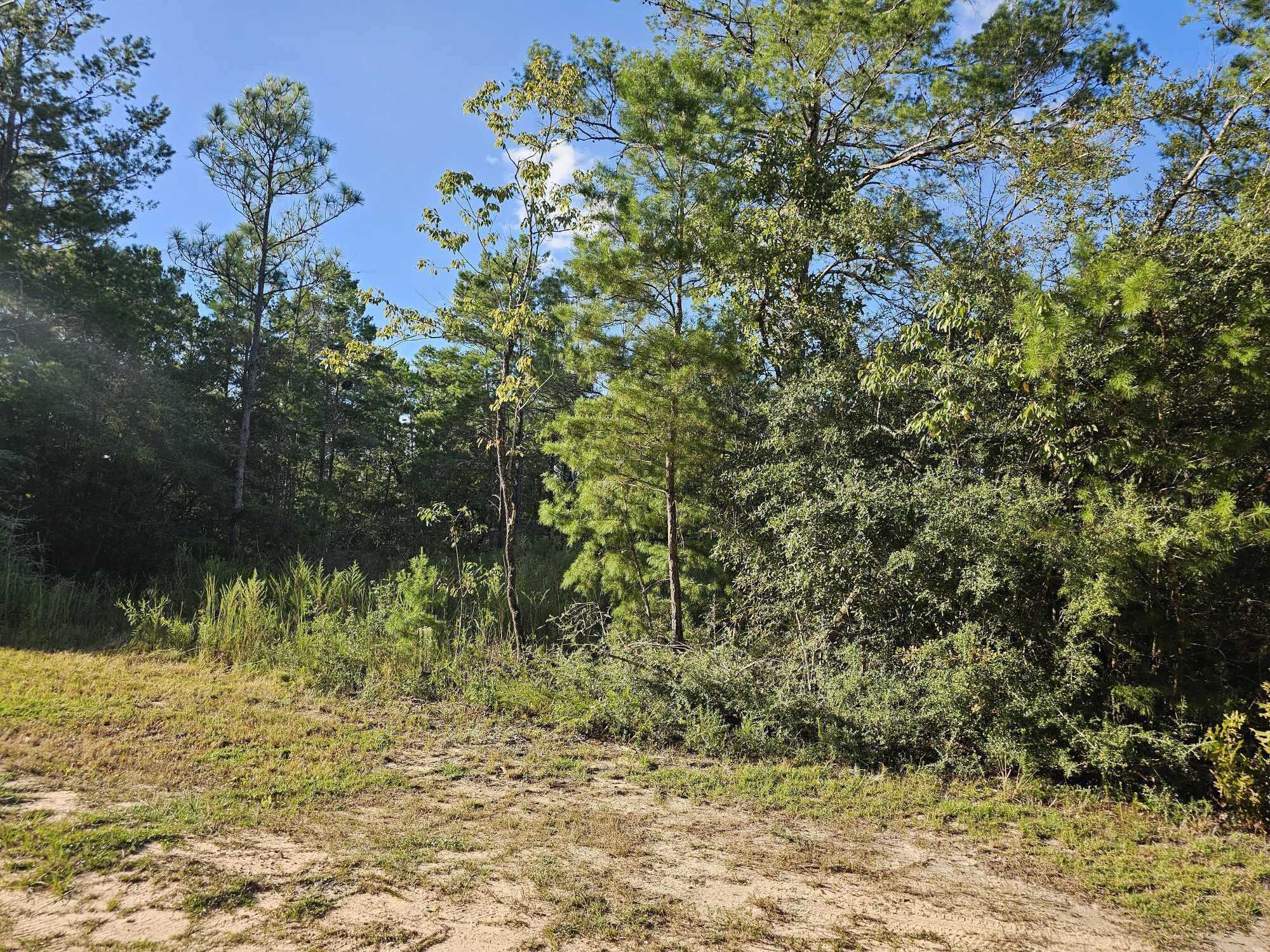 photo 1: Lot 3 W BLUEBOTTLE CT, DeFuniak Springs FL 32433