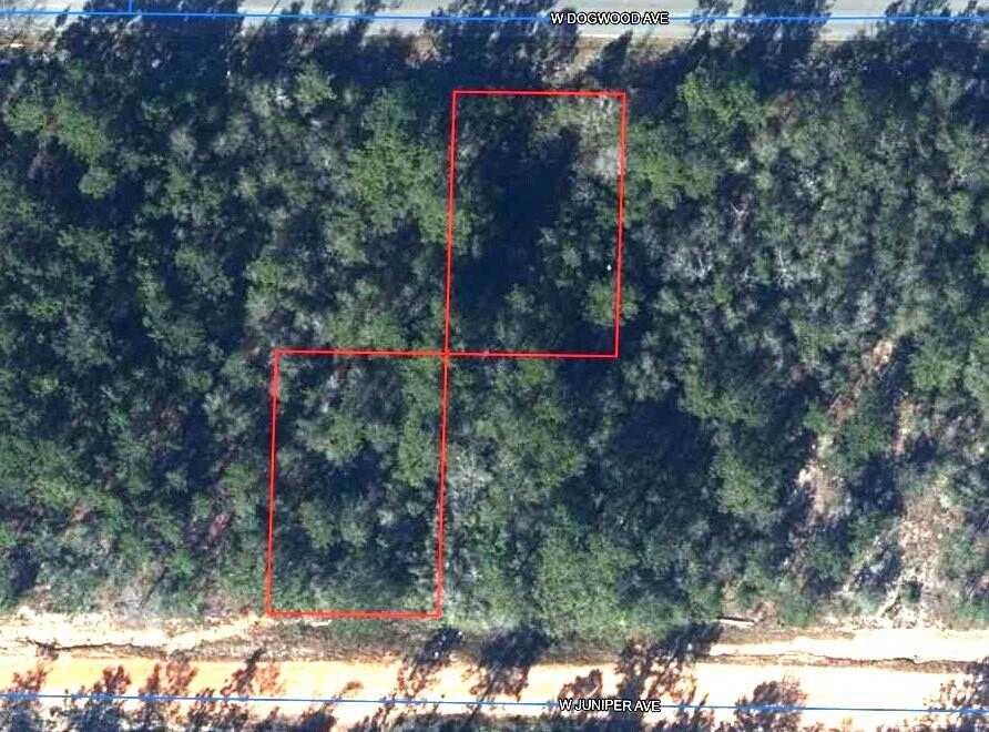 photo 1: Lots 8 and 32, DeFuniak Springs FL 32433