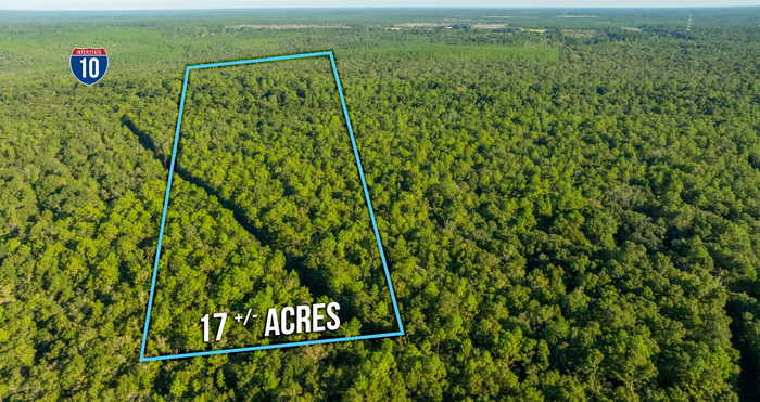 photo 1: 17 Acres Lyons Place, Holt FL 32564