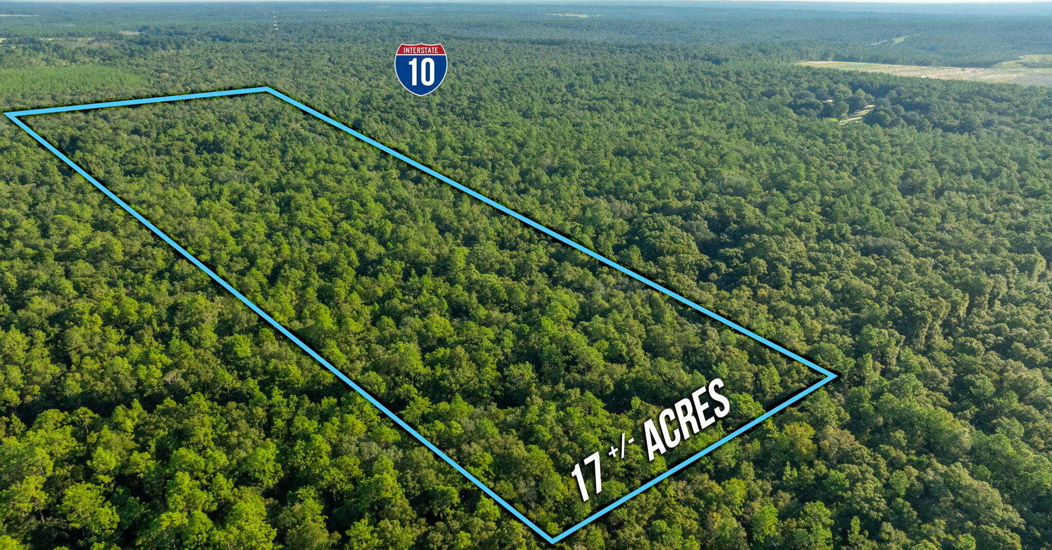 photo 2: 17 Acres Lyons Place, Holt FL 32564