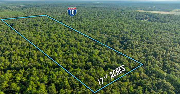 photo 2: 17 Acres Lyons Place, Holt FL 32564