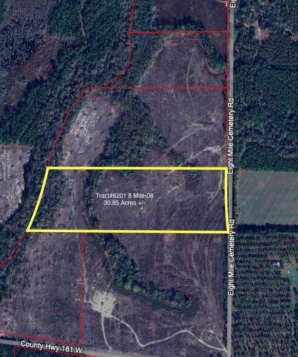 photo 1: Tract#6201 8 Mile Cemetery Road Unit 08 (30.85 AC +/-), DeFuniak Springs FL 32433