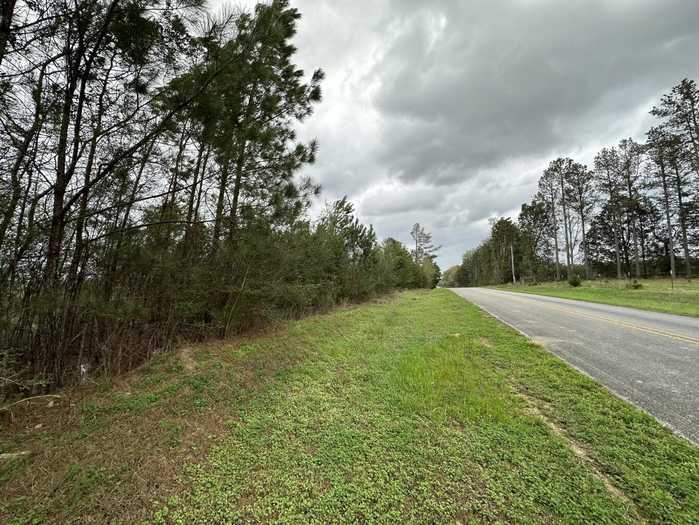 photo 2: Tract#6201 8 Mile Cemetery Road Unit 08 (30.85 AC +/-), DeFuniak Springs FL 32433