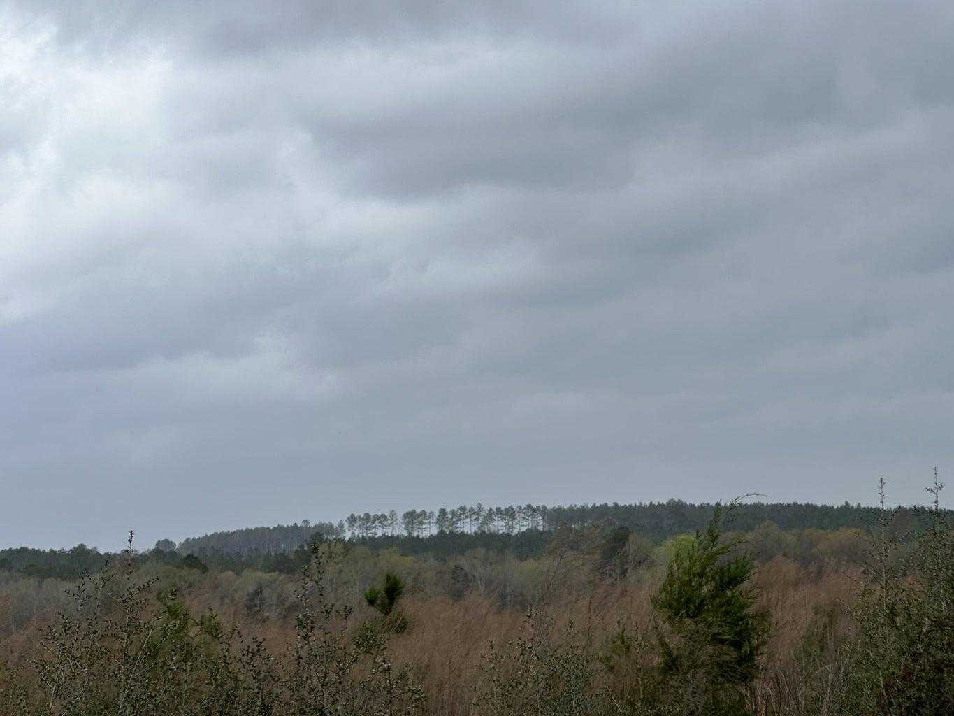 photo 3: Tract#6201 8 Mile Cemetery Road Unit 08 (30.85 AC +/-), DeFuniak Springs FL 32433