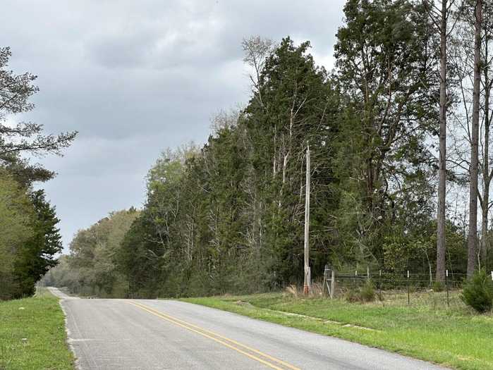 photo 5: Tract#6201 8 Mile Cemetery Road Unit 08 (30.85 AC +/-), DeFuniak Springs FL 32433