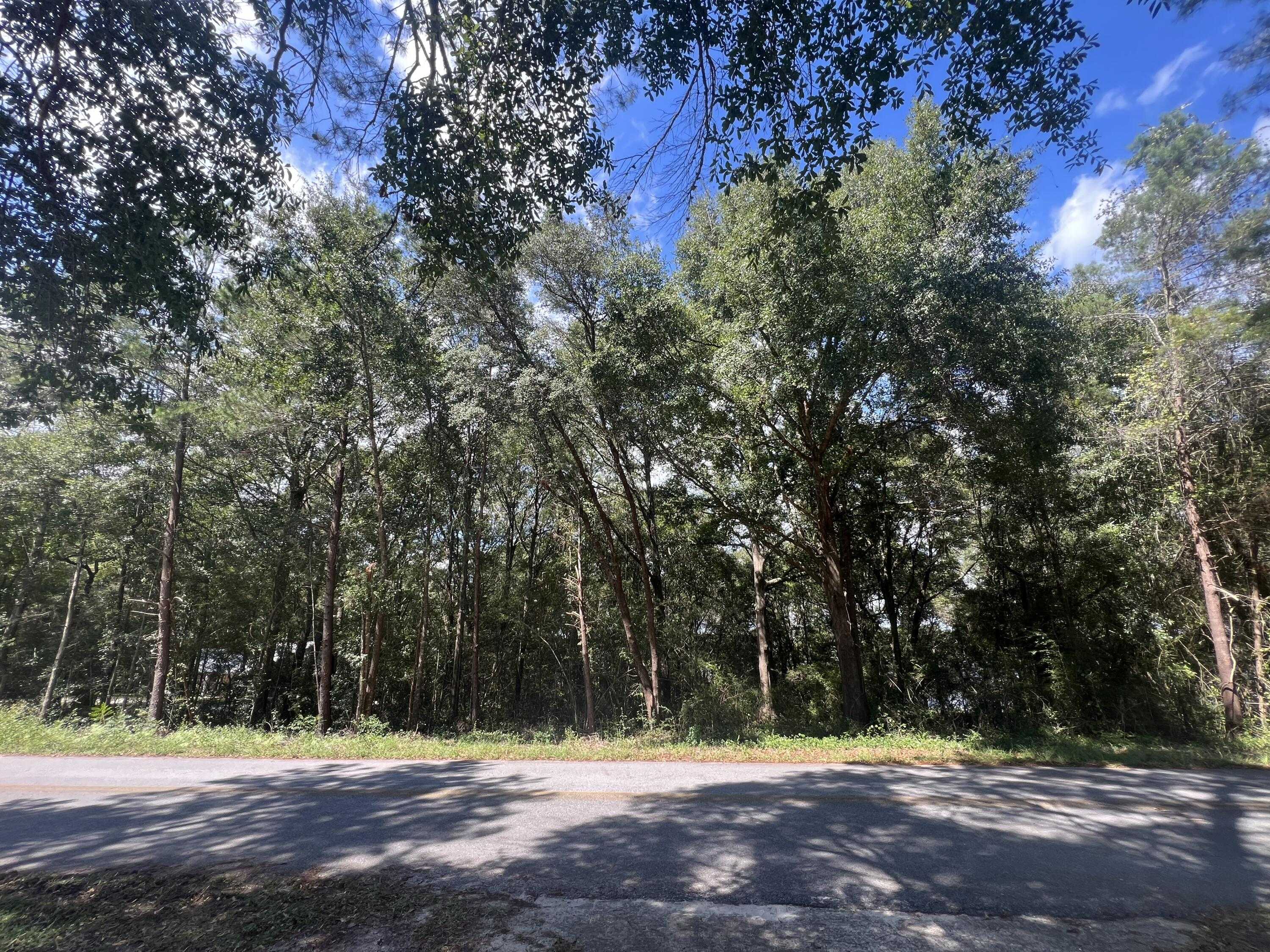 photo 1: 14 Marion Drive, DeFuniak Springs FL 32433