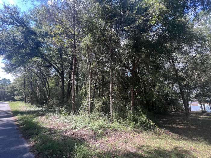 photo 2: 14 Marion Drive, DeFuniak Springs FL 32433