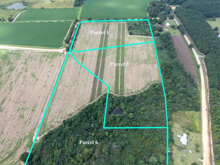 photo 8: Lot 2 Brown Road, DeFuniak Springs FL 32435