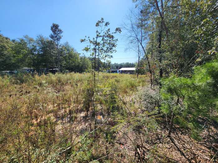 photo 1: Lot 25 W Royal Palm Avenue, DeFuniak Springs FL 32433