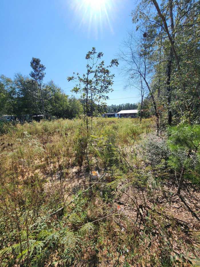 photo 2: Lot 25 W Royal Palm Avenue, DeFuniak Springs FL 32433