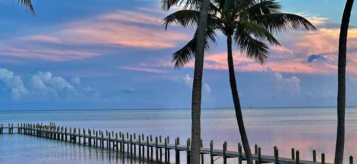 photo 20: 105 Carroll Street, Upper Matecumbe Key Islamorada FL 33036