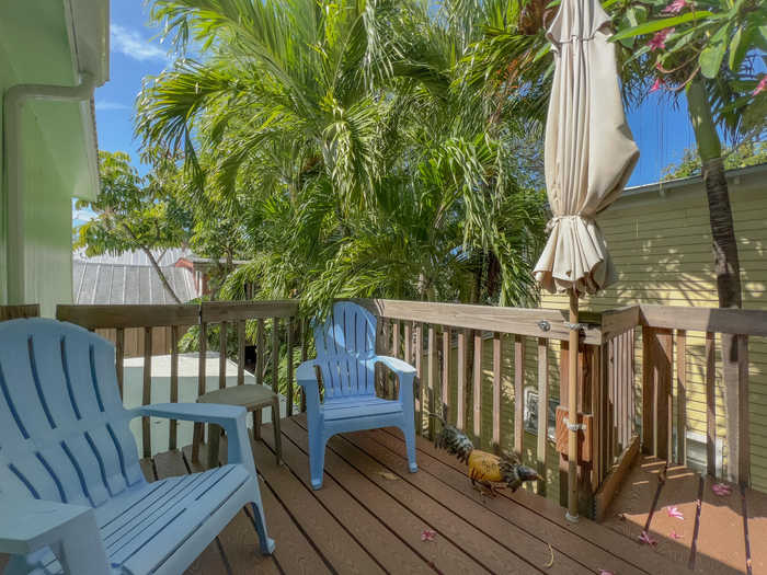 photo 28: 846 Olivia Street, Key West FL 33040