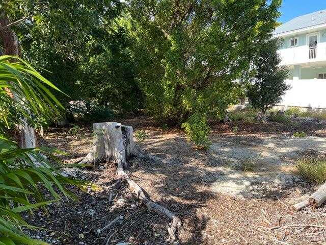 photo 3: 148 Tequesta Street, Plantation Key FL 33070