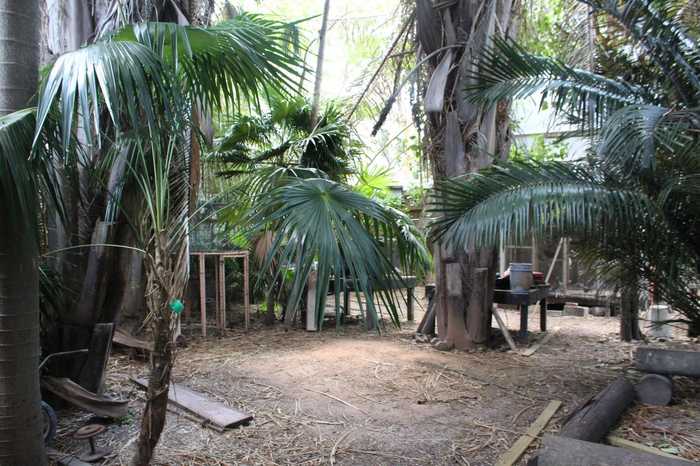 photo 6: 511 Tabby Lane, Key West FL 33040