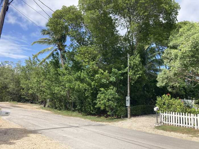 photo 1: 234 Antigua Road, Plantation Key FL 33070