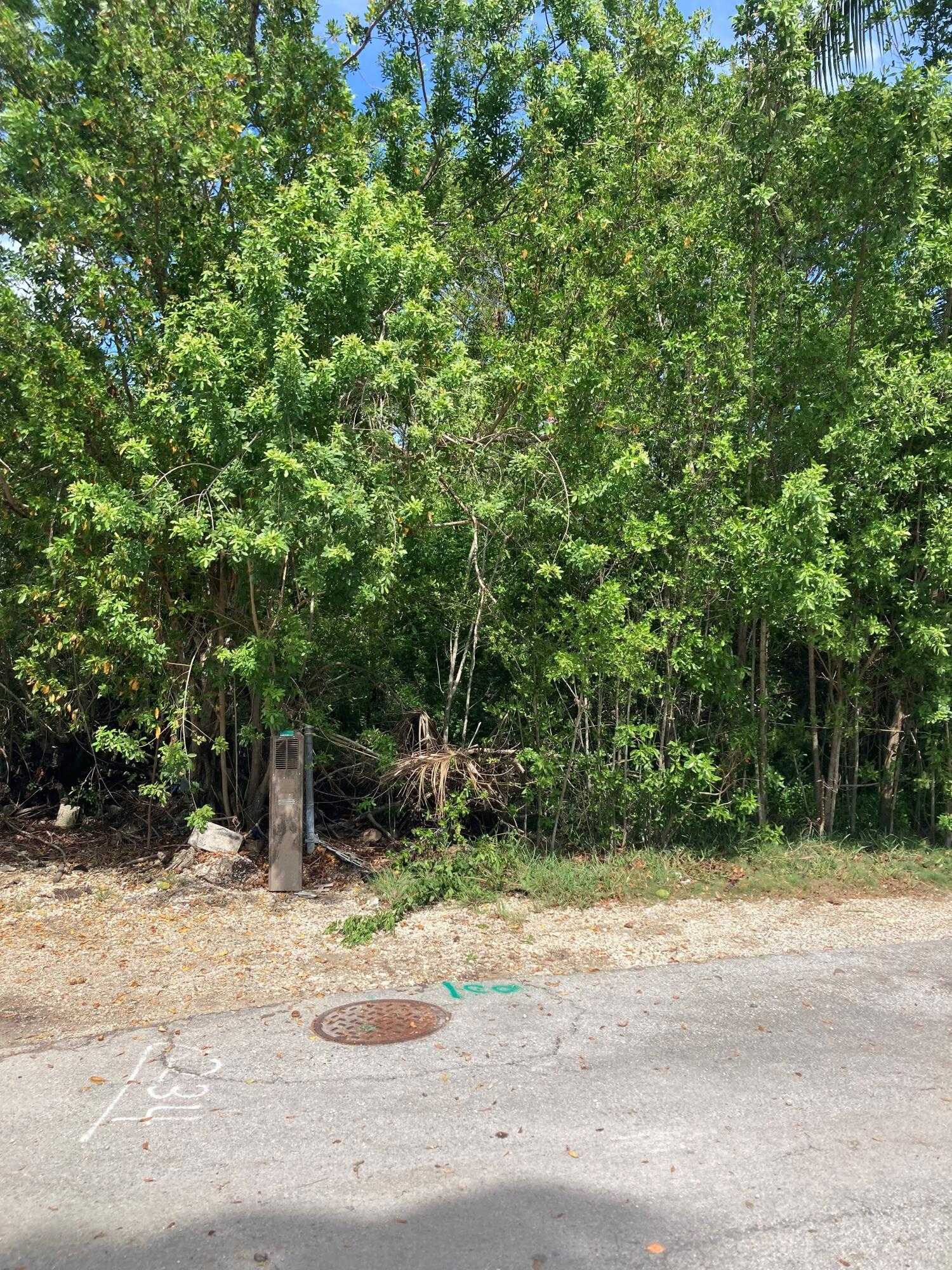 photo 2: 234 Antigua Road, Plantation Key FL 33070