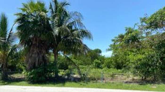 photo 2: 31373 Ave C, Big Pine Key FL 33043