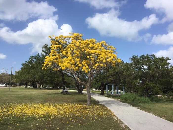 photo 39: 500 Burton Drive, Key Largo FL 33070