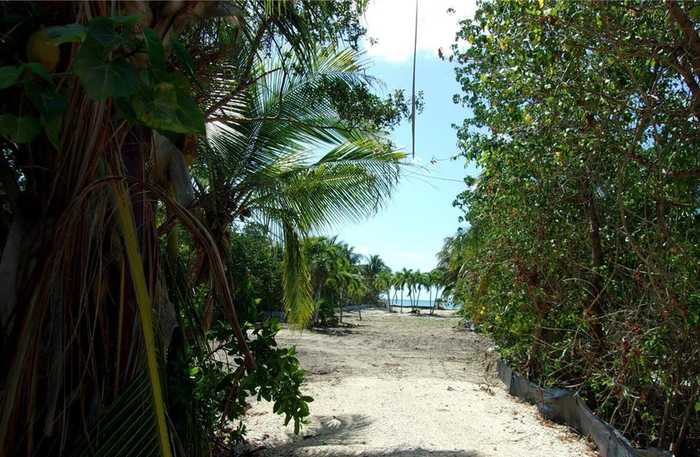 photo 1: 58622 Overseas Highway, Marathon FL 33050