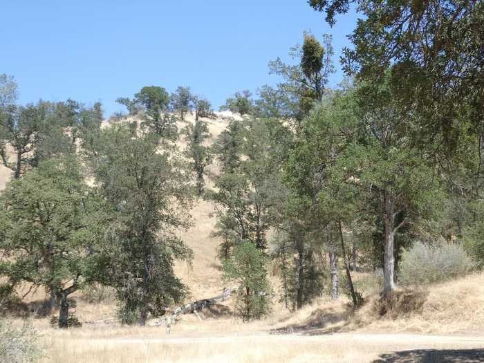 photo 1: Road 400, Coarsegold CA 93614