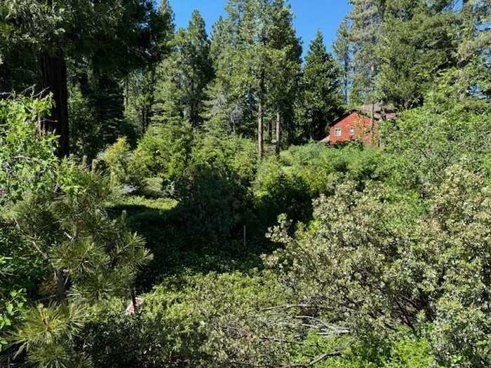 photo 2: 40902 Wild Iris Ln Lane, Shaver Lake CA 93664