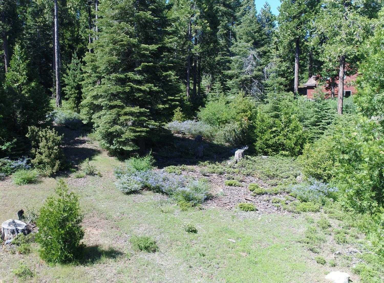 photo 3: 40902 Wild Iris Ln Lane, Shaver Lake CA 93664