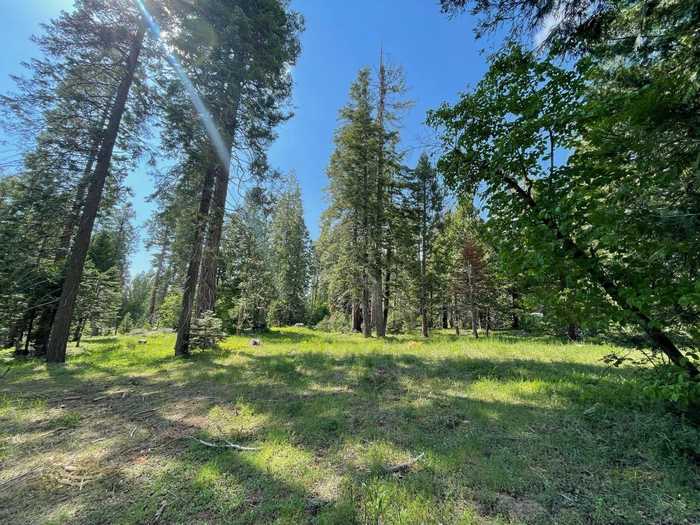 photo 1: 4 Littleridge Road, Shaver Lake CA 93664