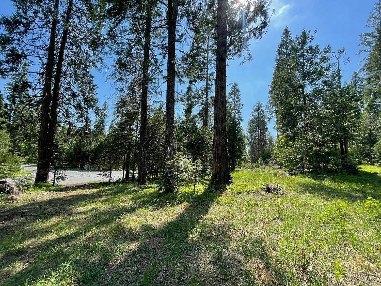 photo 2: 4 Littleridge Road, Shaver Lake CA 93664