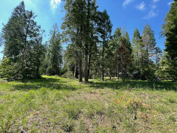 photo 4: 4 Littleridge Road, Shaver Lake CA 93664